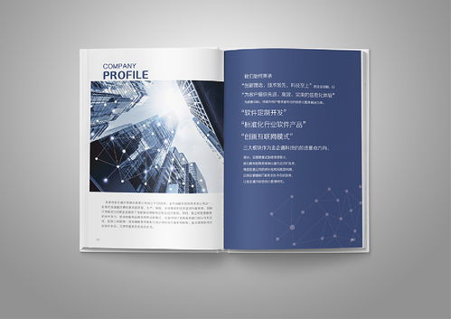 網(wǎng)絡(luò)科技公司宣傳畫冊