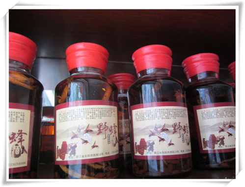 蘭溪嘉行養(yǎng)生酒 精品酒類(lèi)批發(fā)優(yōu)選，輔仁路優(yōu)質(zhì)供應(yīng)商