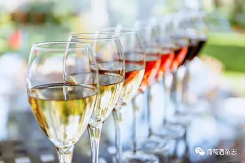 酒類(lèi)批發(fā)新路徑 B2B電商平臺(tái)月銷(xiāo)近百萬(wàn)的葡萄酒進(jìn)貨渠道